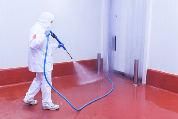 Best Restaurant Pressure Washing  in Viera East, FL